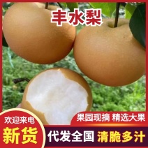 山东丰水梨大量上市，皮薄脆甜爽口多汁，含糖量高，货源充足