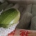 小瓜