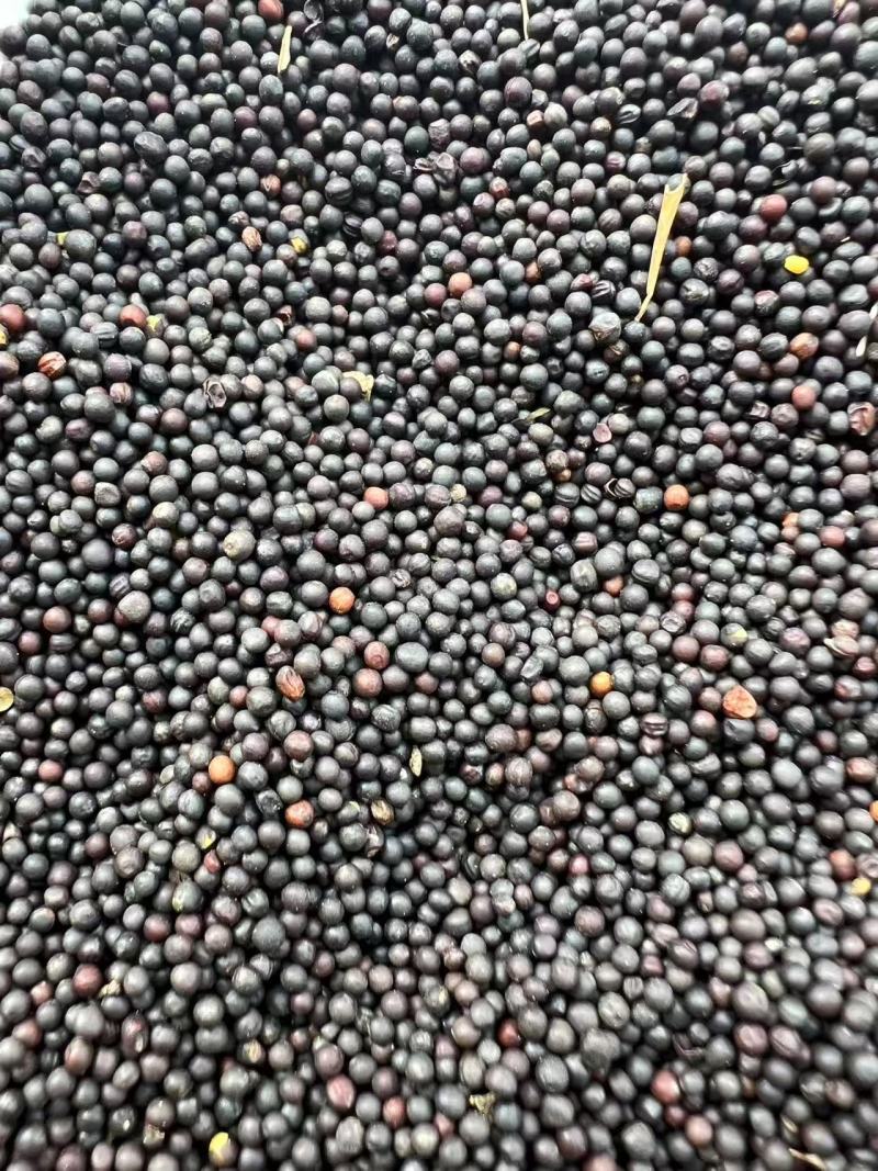 10—50斤菜籽油
