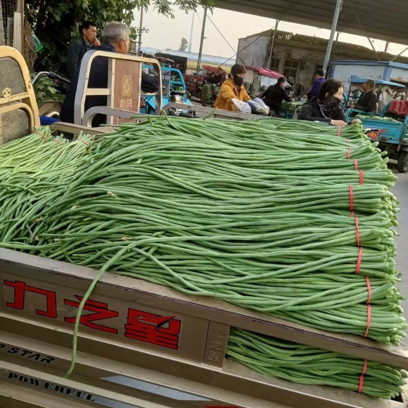 【量大优惠】河南豆角品质保障对接全国批发电商商超