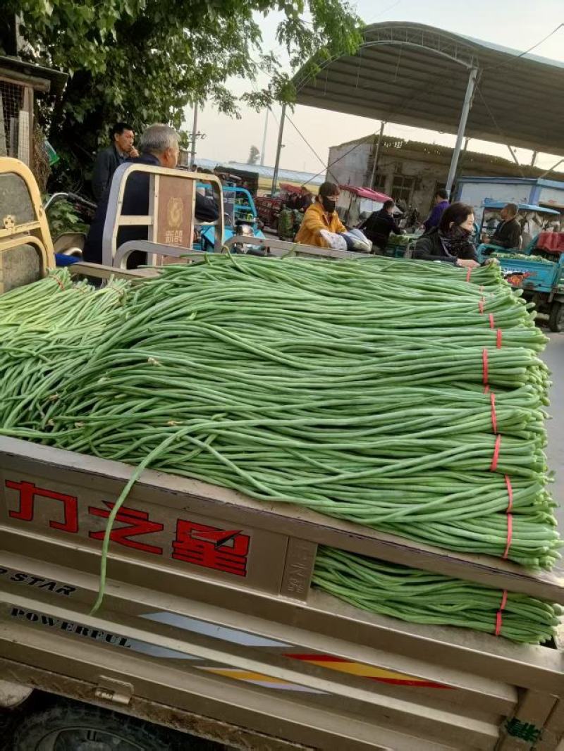 【量大优惠】河南豆角品质保障对接全国批发电商商超