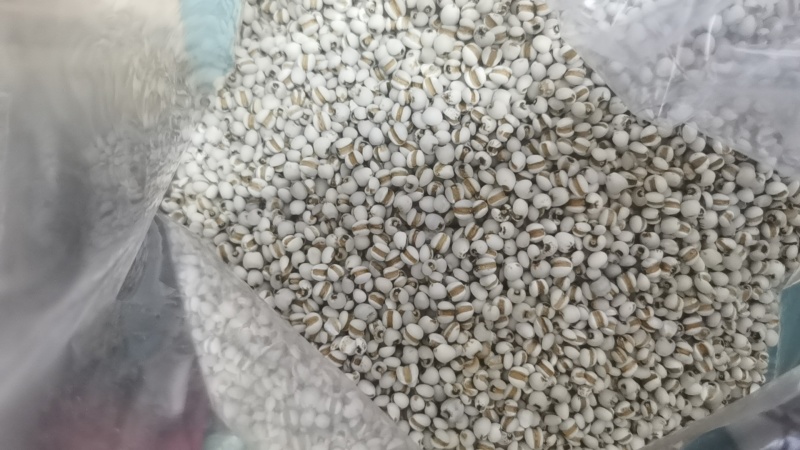 贵州薏米仁大量有货/精品薏米产地发货量大从优欢迎联系选购