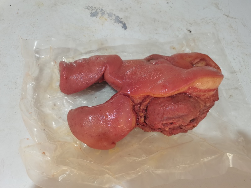 全熟猪头肉真空独立包装2斤左右原产地直发冷链物流