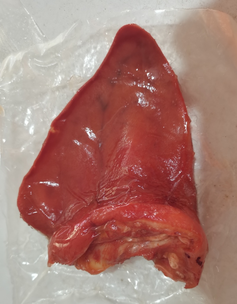 全熟猪耳朵无刀口无瘀血耳根一指瘦独立真空产地直发