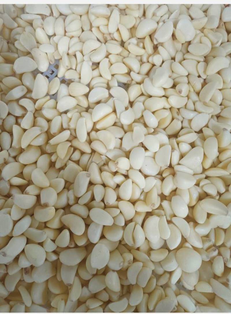 干洗蒜米无泡水***