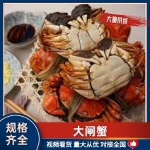 中秋福利阳澄湖大闸蟹招合作商企业采购，批发，代发一手货源