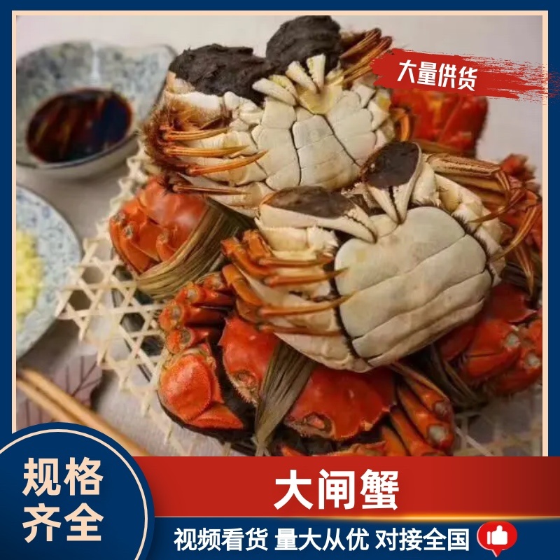 中秋福利阳澄湖大闸蟹招合作商企业采购，批发，代发一手货源