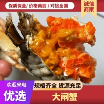 中秋福利阳澄湖大闸蟹招合作商企业采购，批发，代发一手货源