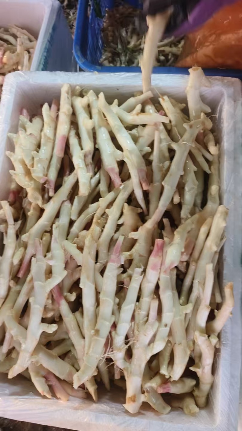 精品牙牙姜水洗工厂货