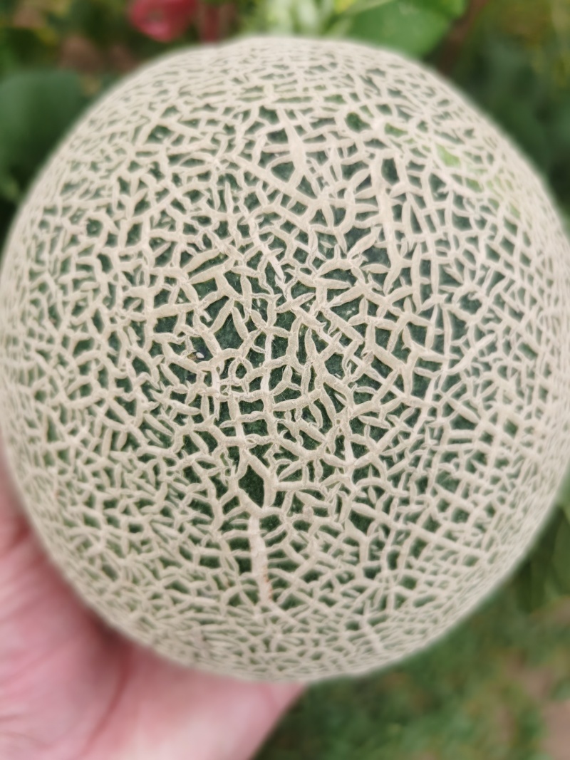 牛三