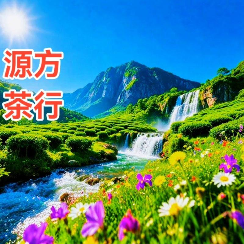 高山茶惠来土山茶潮汕工夫茶诏安八仙茶大坪土山茶1斤
