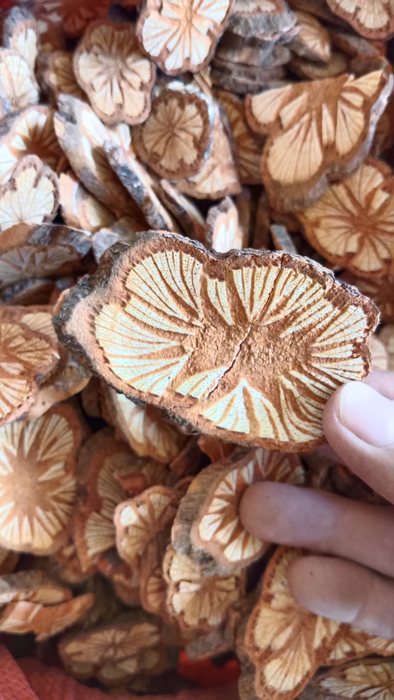 大血藤贵州深山老藤无硫野生货批发可视频看过货基地直供