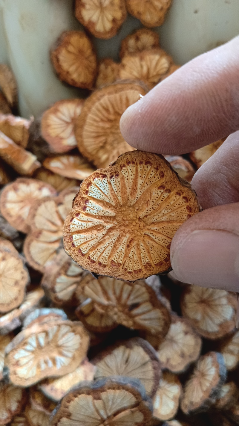 大血藤贵州深山老藤无硫野生货批发可视频看过货基地直供