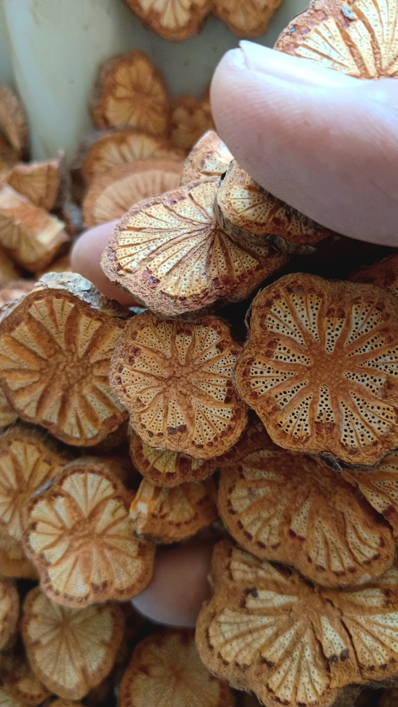 大血藤贵州深山老藤无硫野生货批发可视频看过货基地直供