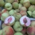 北京十四号