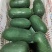 水果冬瓜，东瓜，大量出售，10吨起批