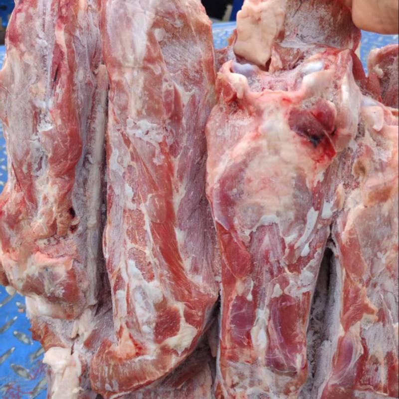 草原鑫河羔羊蝎子新鲜肉多实拍图片一手货源全国发货
