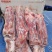草原鑫河羔羊蝎子新鲜肉多实拍图片一手货源全国发货