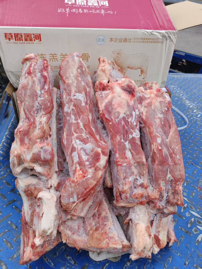 草原鑫河羔羊蝎子新鲜肉多实拍图片一手货源全国发货