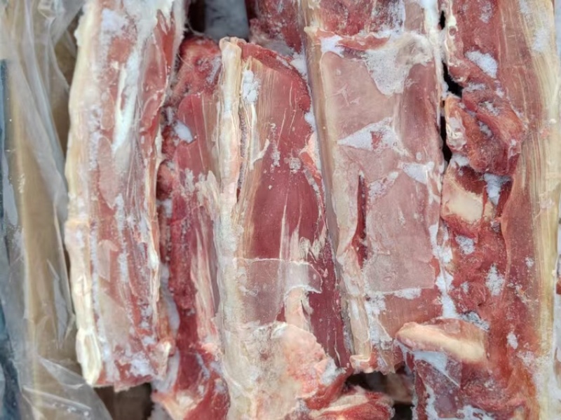 草原鑫河羔羊蝎子新鲜肉多实拍图片一手货源全国发货