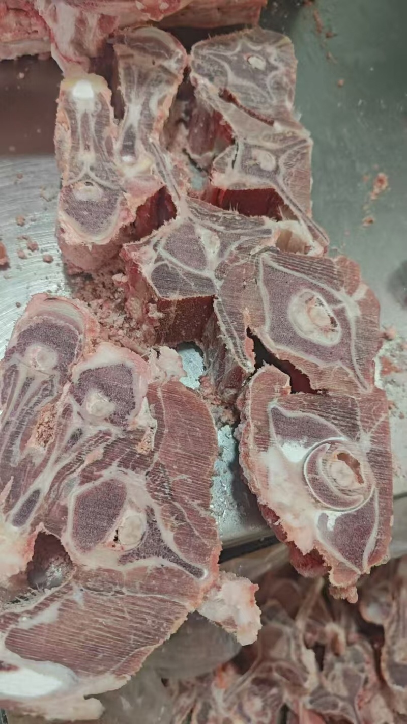 草原鑫河羔羊蝎子新鲜肉多实拍图片一手货源全国发货
