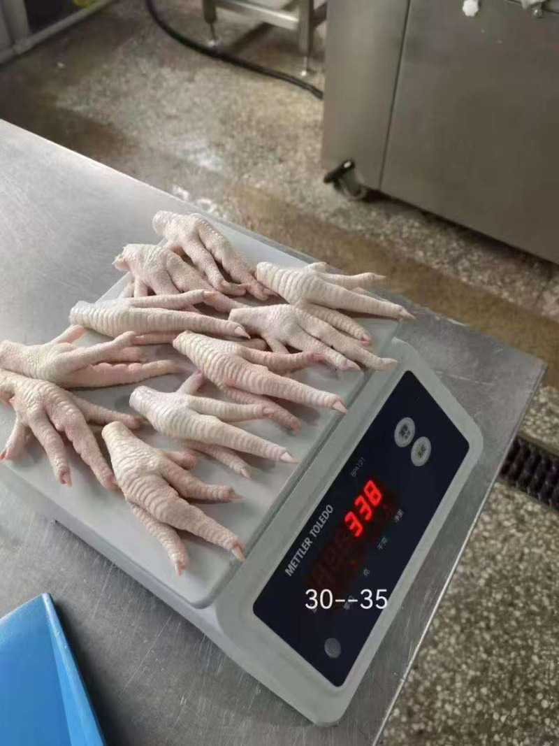 凤抓鸡爪工厂高品质