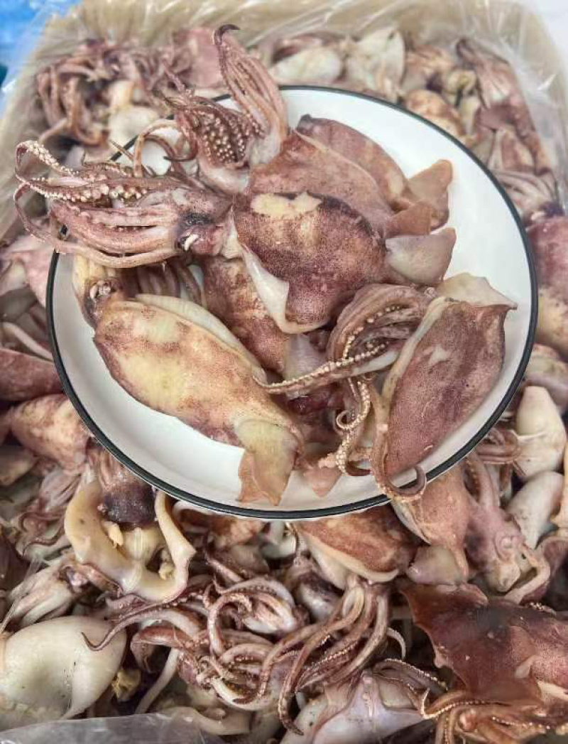 鱿鱼筒地摊电商批发开边鱿鱼筒海兔鱿鱼干鱼干干鱼