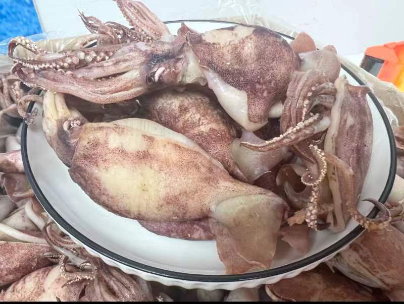 鱿鱼筒地摊电商批发开边鱿鱼筒海兔鱿鱼干鱼干干鱼