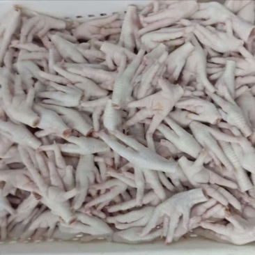 凤抓鸡爪工厂高品质