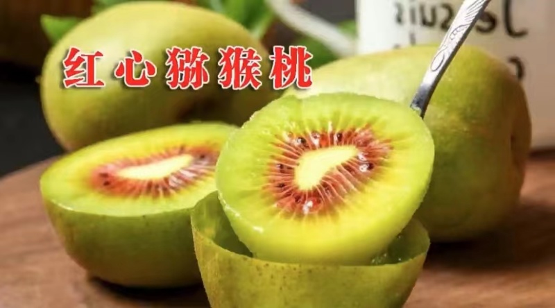 果园直销