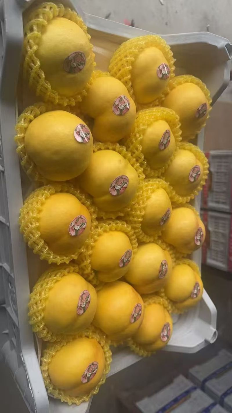 精品黄局油桃，蒙阴产地直发，对接全国市场平台电商！