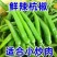 尼伯特辣椒黄皮辣椒品种规格齐全保质保量供货