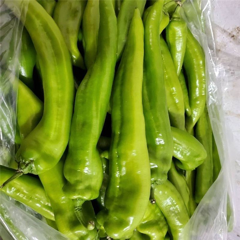 尼伯特辣椒黄皮辣椒品种规格齐全保质保量供货