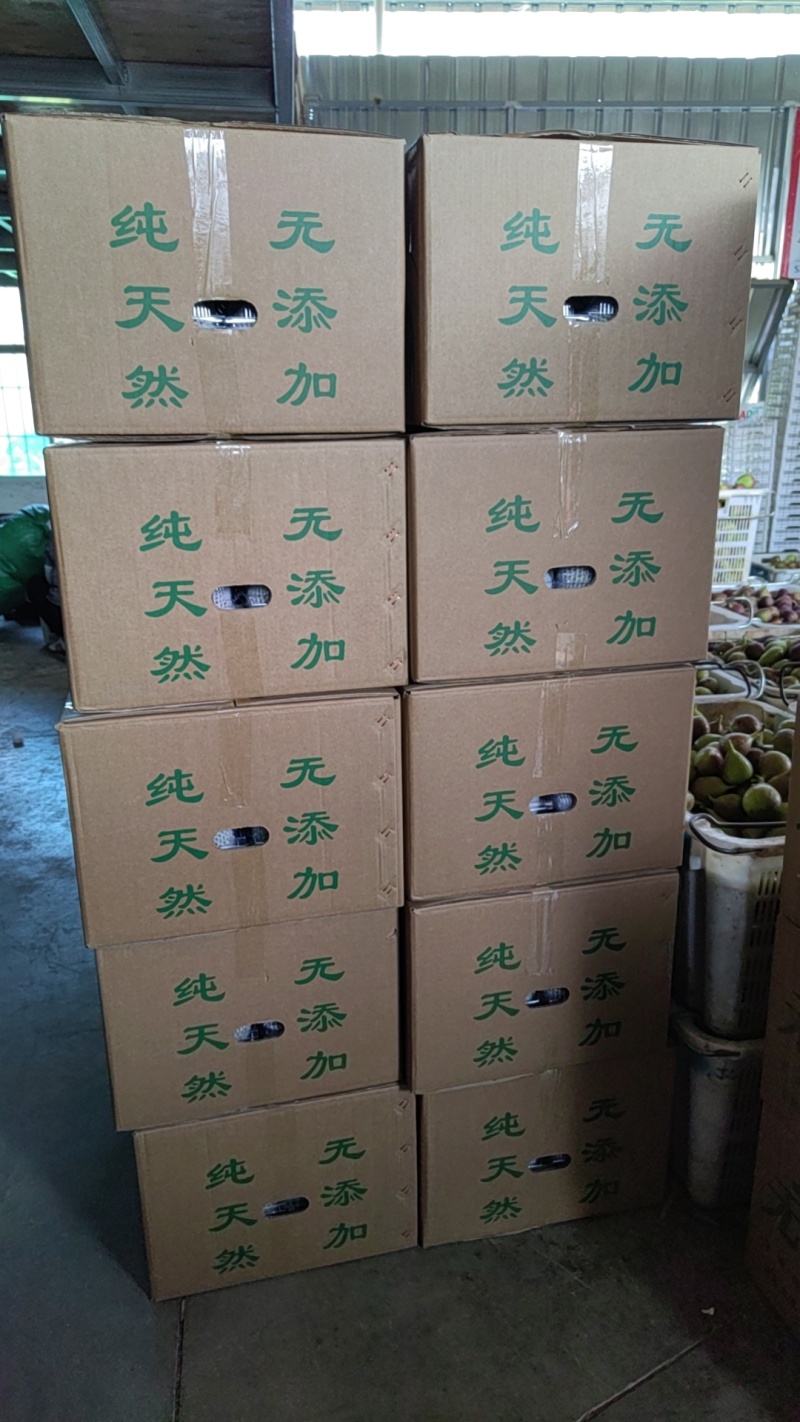 昆明基地常年大量批发新鲜无花果各种包装齐全欢迎洽谈！