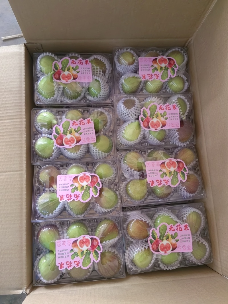 昆明基地常年大量批发新鲜无花果各种包装齐全欢迎洽谈！