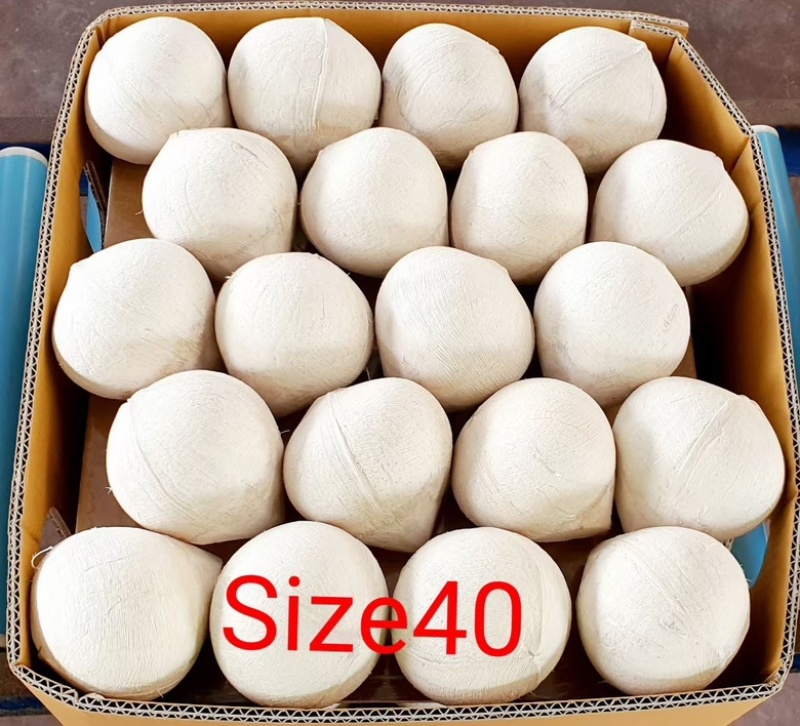 椰皇椰蛋，产地价2.9元/个，按柜发货