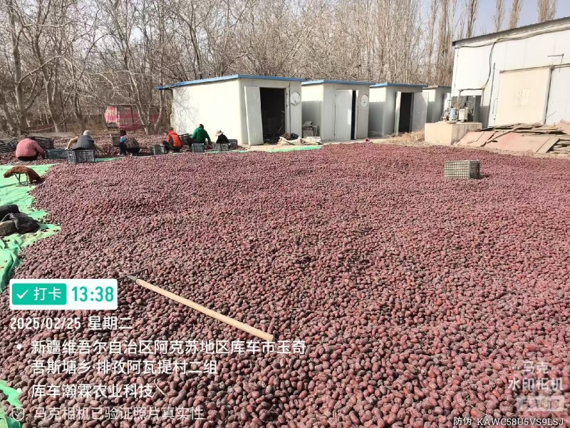 金昌一号有30吨骏枣有25吨灰枣有32吨需