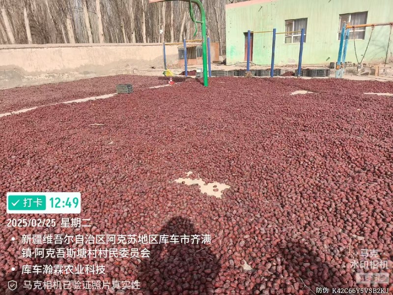 金昌一号有30吨骏枣有25吨灰枣有32吨需