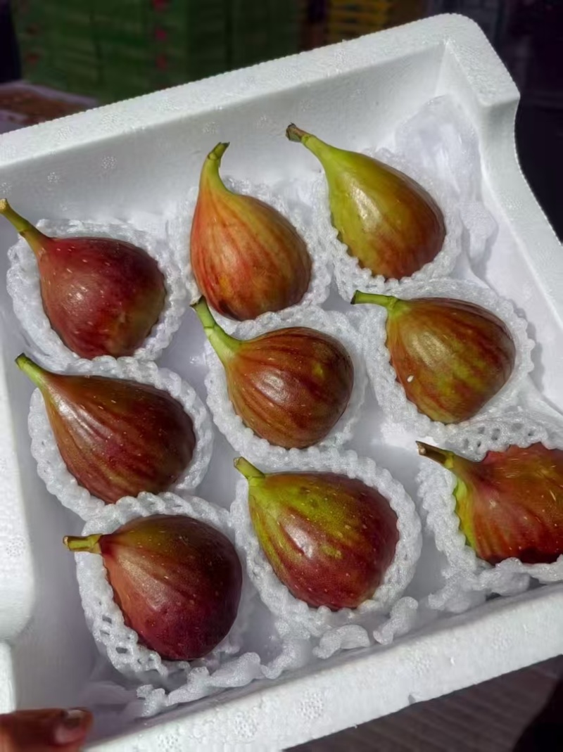 无花果