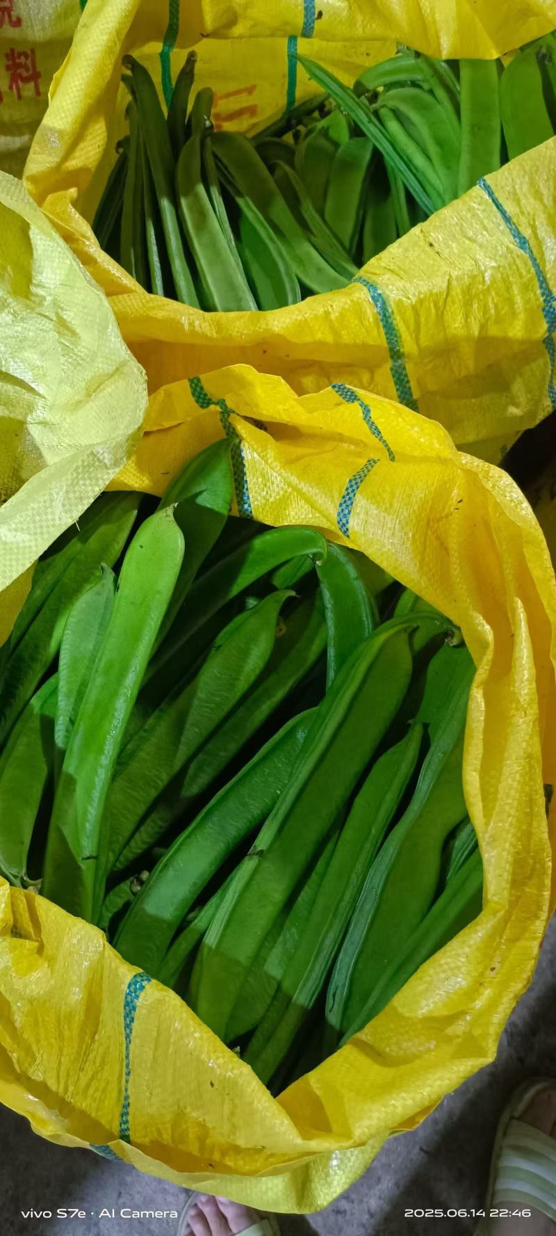 《精选》广西刀豆基地直发对接全国保质保量一条龙服务