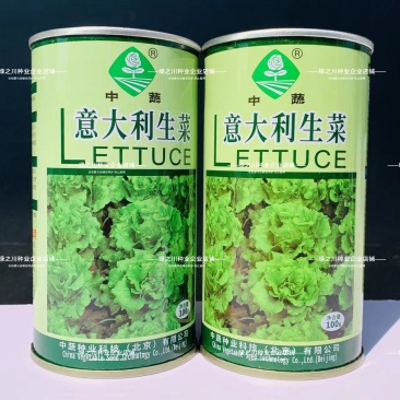 中国农科院生菜种子真正的耐抽苔生菜纯度高耐热耐寒不带苦味