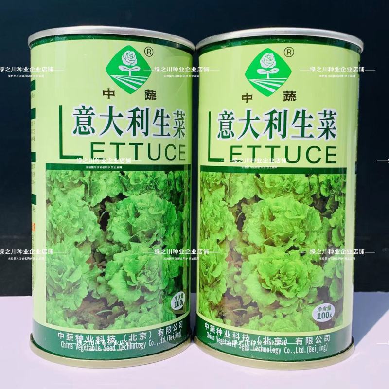 中国农科院生菜种子真正的耐抽苔生菜纯度高耐热耐寒不带苦味