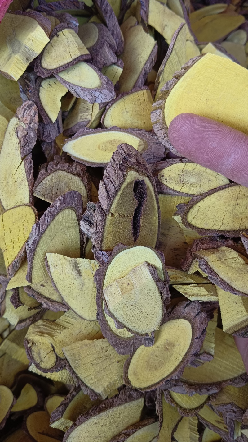 十大功劳中药材批发品质优基地直供可视频看货品质优