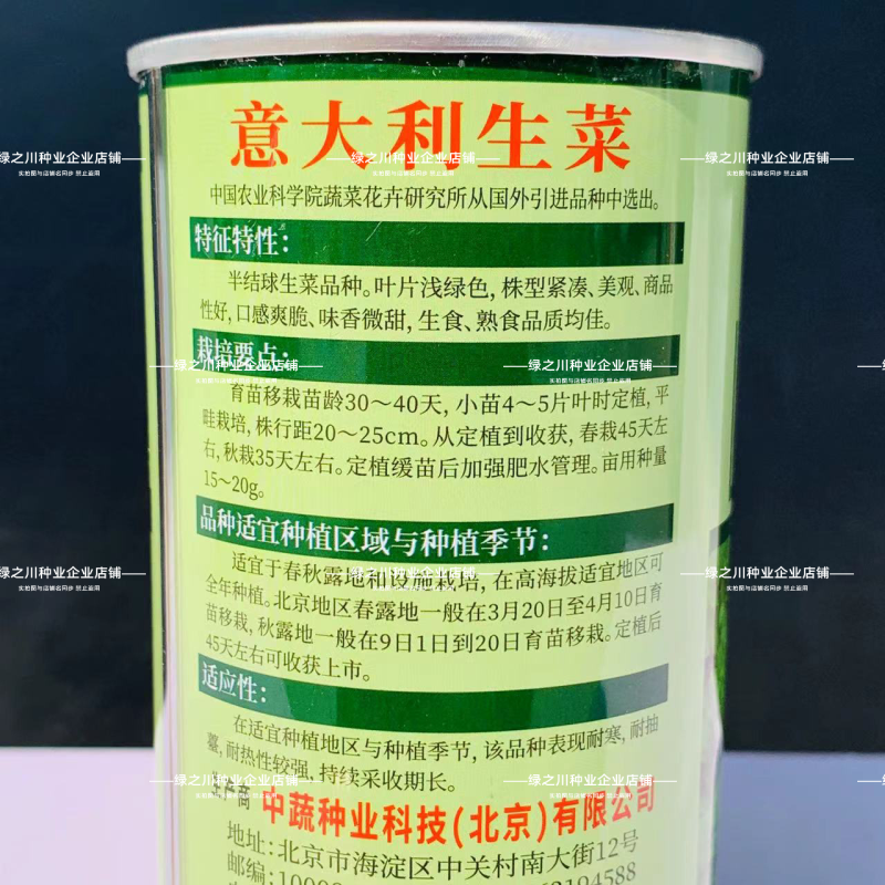 中国农科院生菜种子真正的耐抽苔生菜纯度高耐热耐寒不带苦味