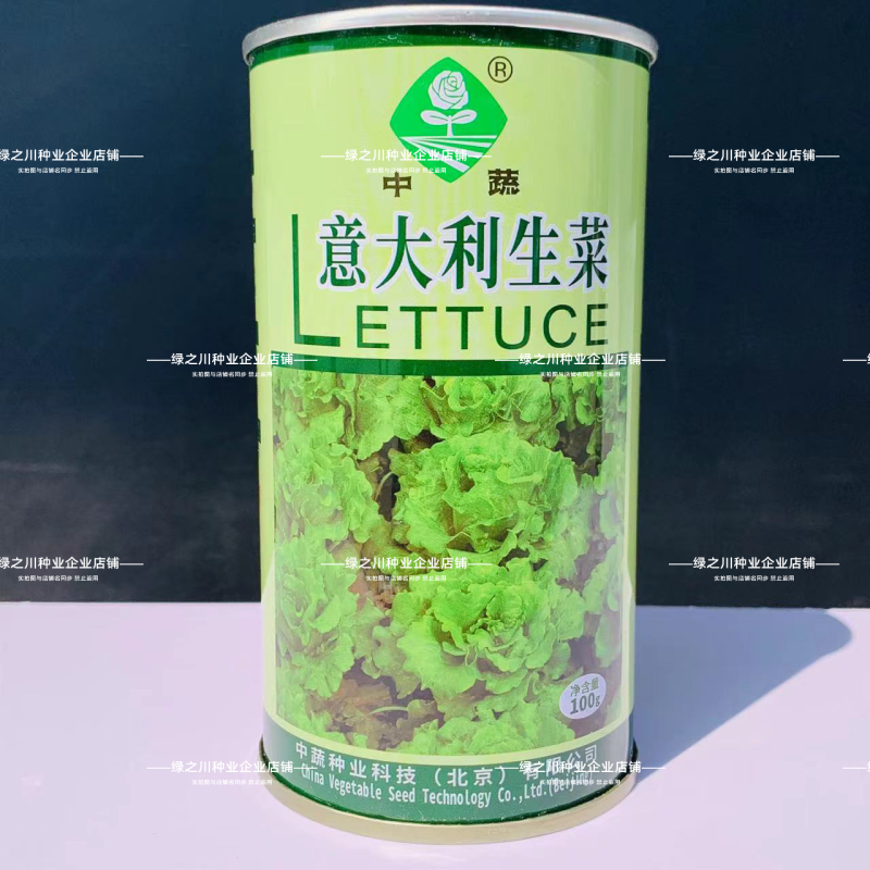中国农科院生菜种子真正的耐抽苔生菜纯度高耐热耐寒不带苦味