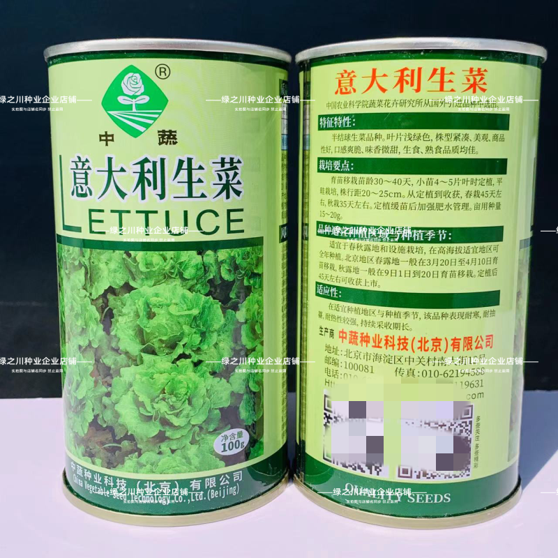 中国农科院生菜种子真正的耐抽苔生菜纯度高耐热耐寒不带苦味