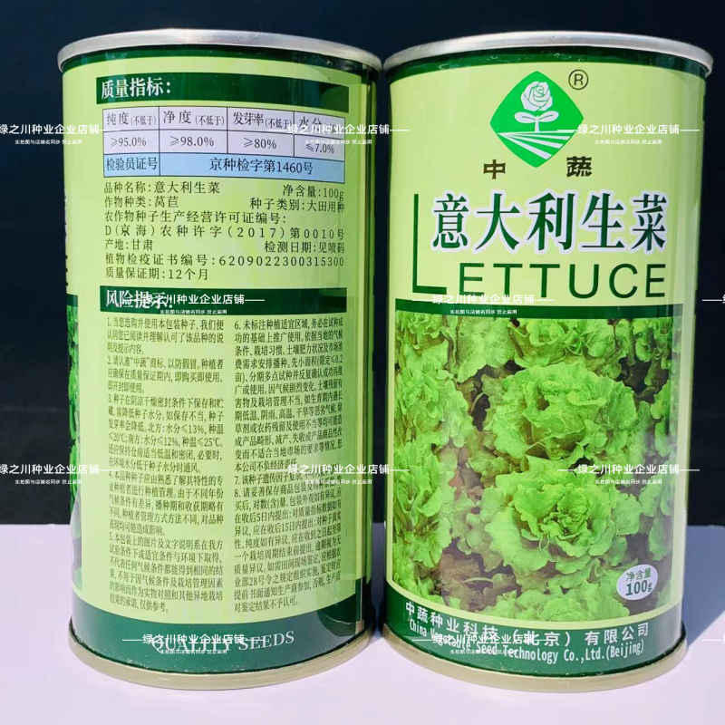 中国农科院生菜种子真正的耐抽苔生菜纯度高耐热耐寒不带苦味