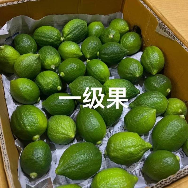 一级夏花果70-180克无籽