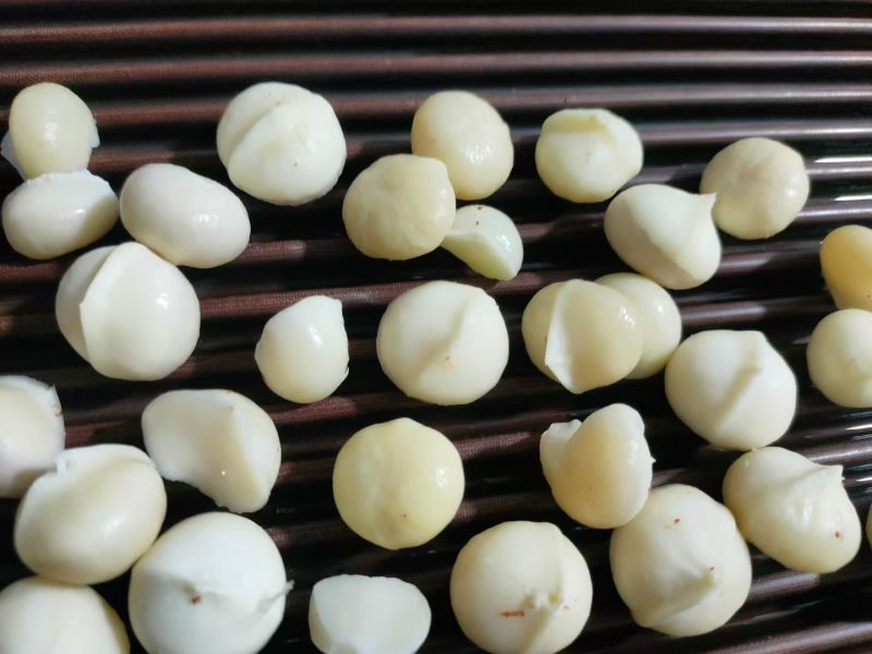 云南热带坚果