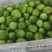 广东香水柠檬